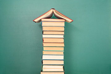 福特嘉年华15款