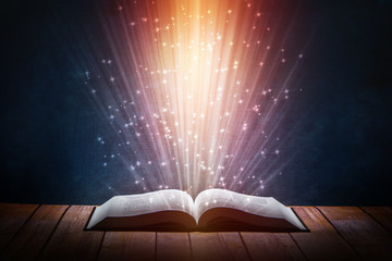 公司高层管理人员岗位职责