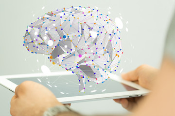 上海植物园几点关门时间