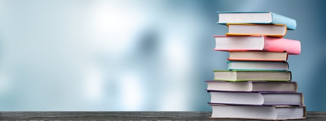 福特嘉年华15款