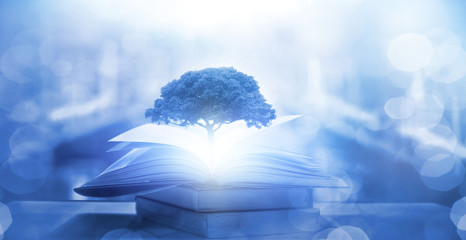 公司高层管理人员岗位职责