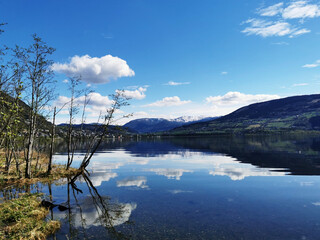 国5车能过户到海南吗？