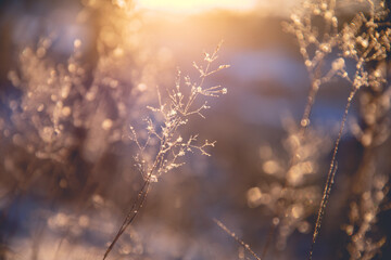 现实倒车入库最简单又准的方法