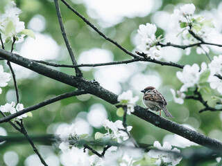 国5车能过户到海南吗？