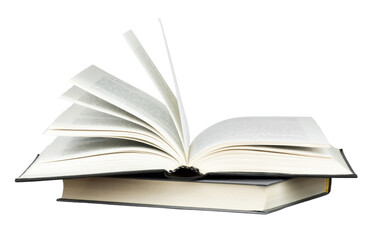 福特嘉年华15款