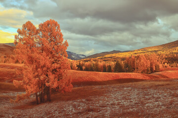 长方形电子闹钟怎么设置