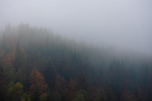 售6.98万~7.48万 长安奔奔E-Star正式上市