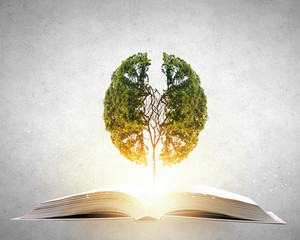 上海植物园几点关门时间