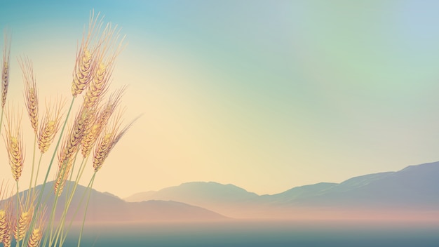 售6.98万~7.48万 长安奔奔E-Star正式上市