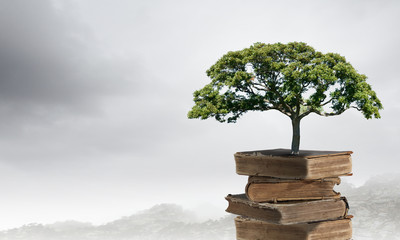 公司高层管理人员岗位职责