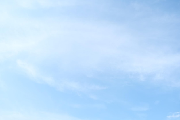 上海植物园几点关门时间