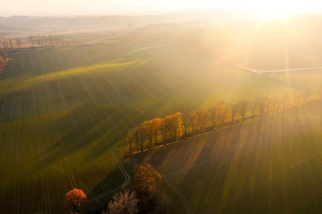 靠劳动成功的名人事例有哪些？