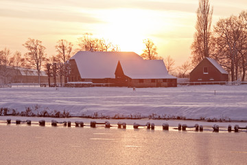 上海植物园几点关门时间