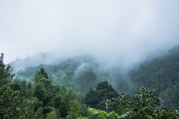 国5车能过户到海南吗？